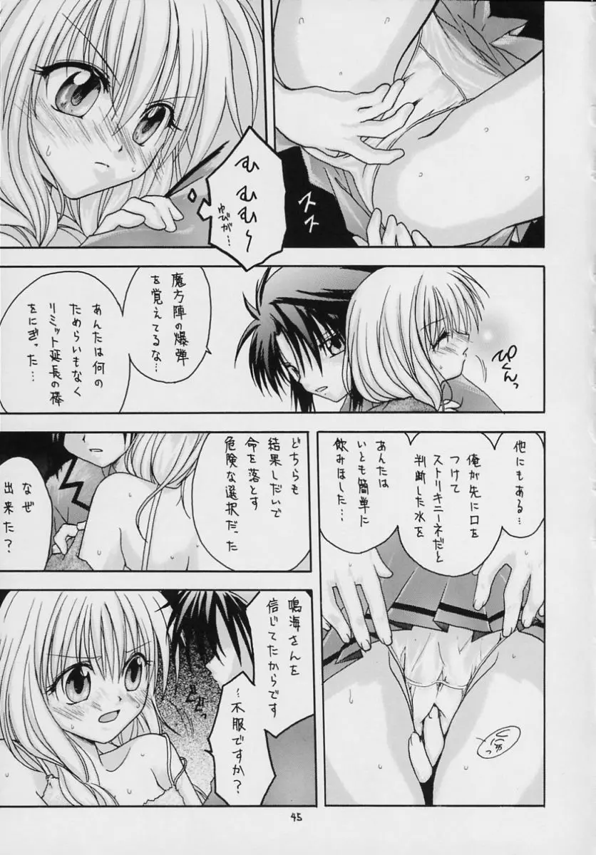 ヴァルハラ～第二章～冬の嵐 - page44