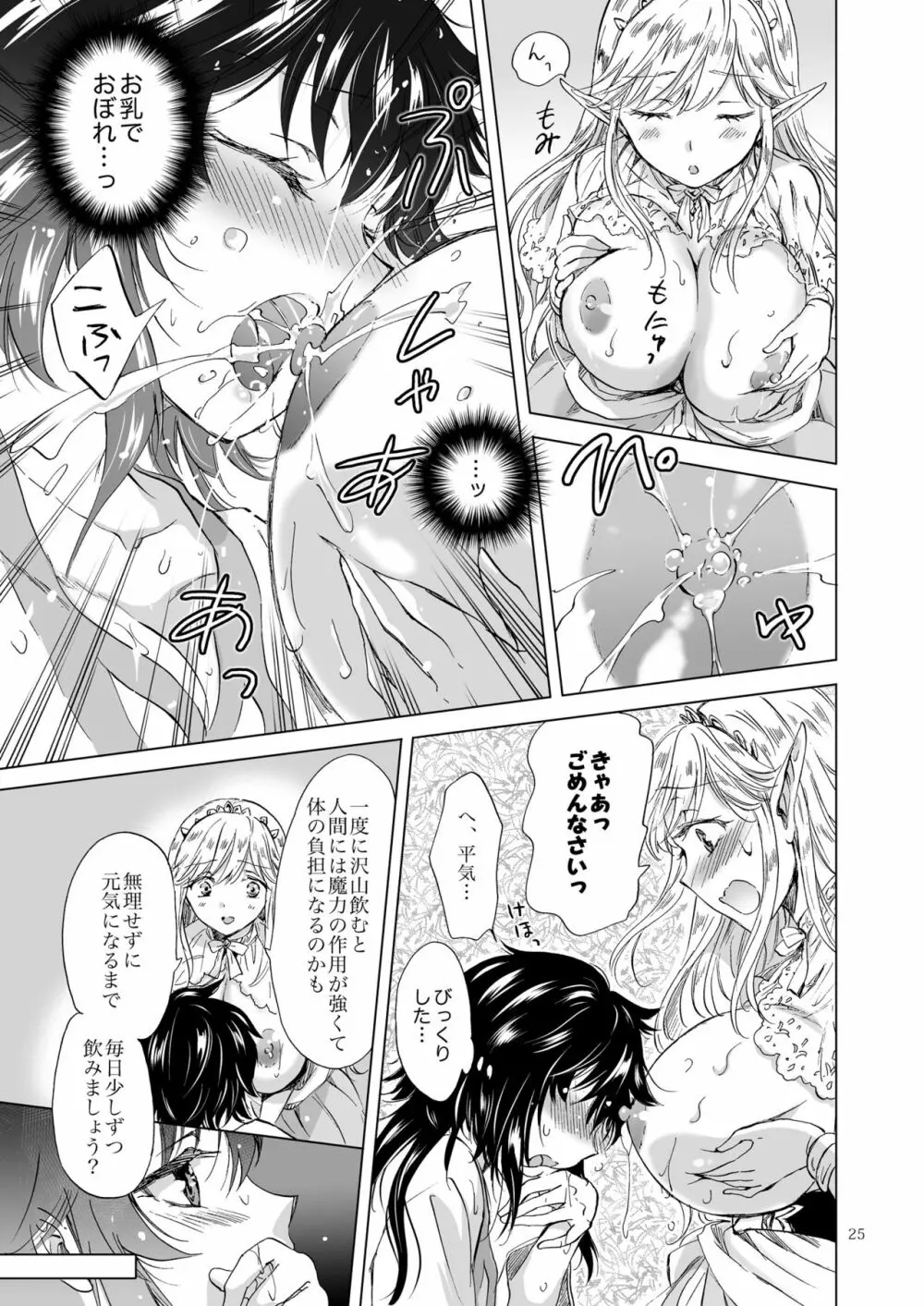 聖なる乳のエルフ姫 - page25