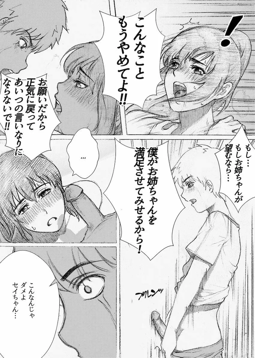 僕のお姉ちゃんがこんなにビッチなはずがない - page24