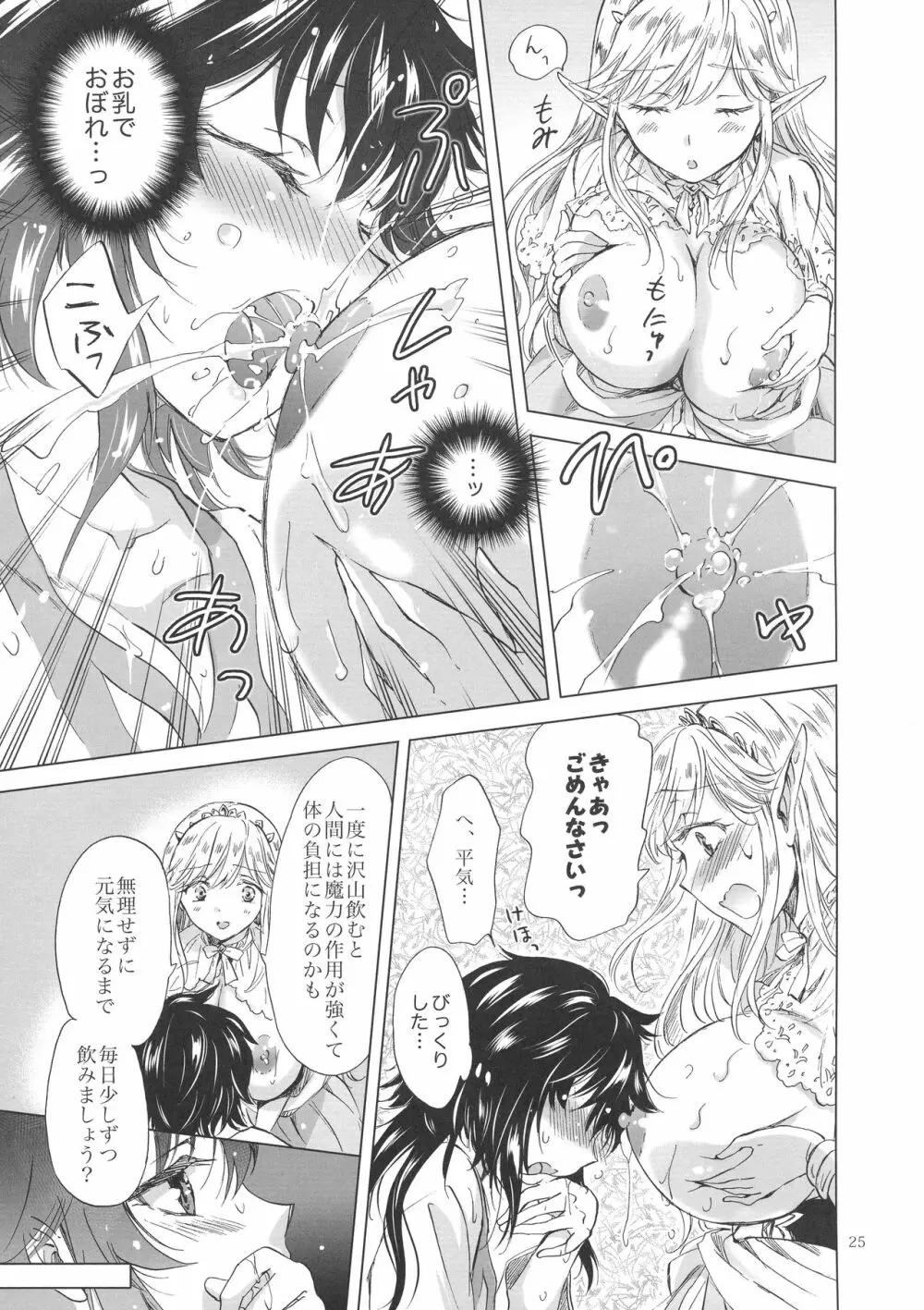 聖なる乳のエルフ姫 - page24