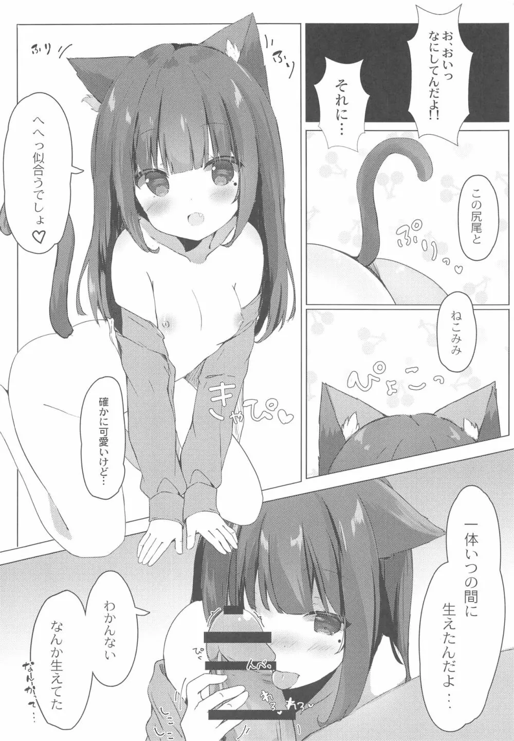 おにいちゃんねこみみはお好きですか? - page5