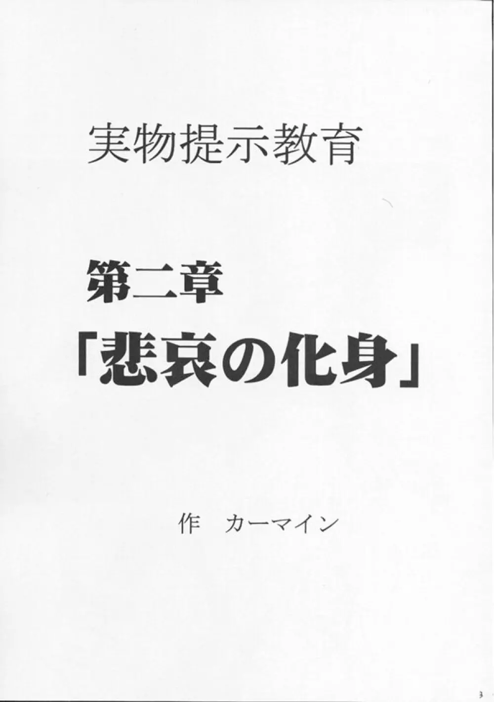 実物提示教育 2 - page2