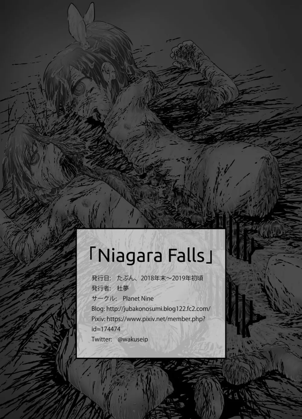 Niagara Falls - page14