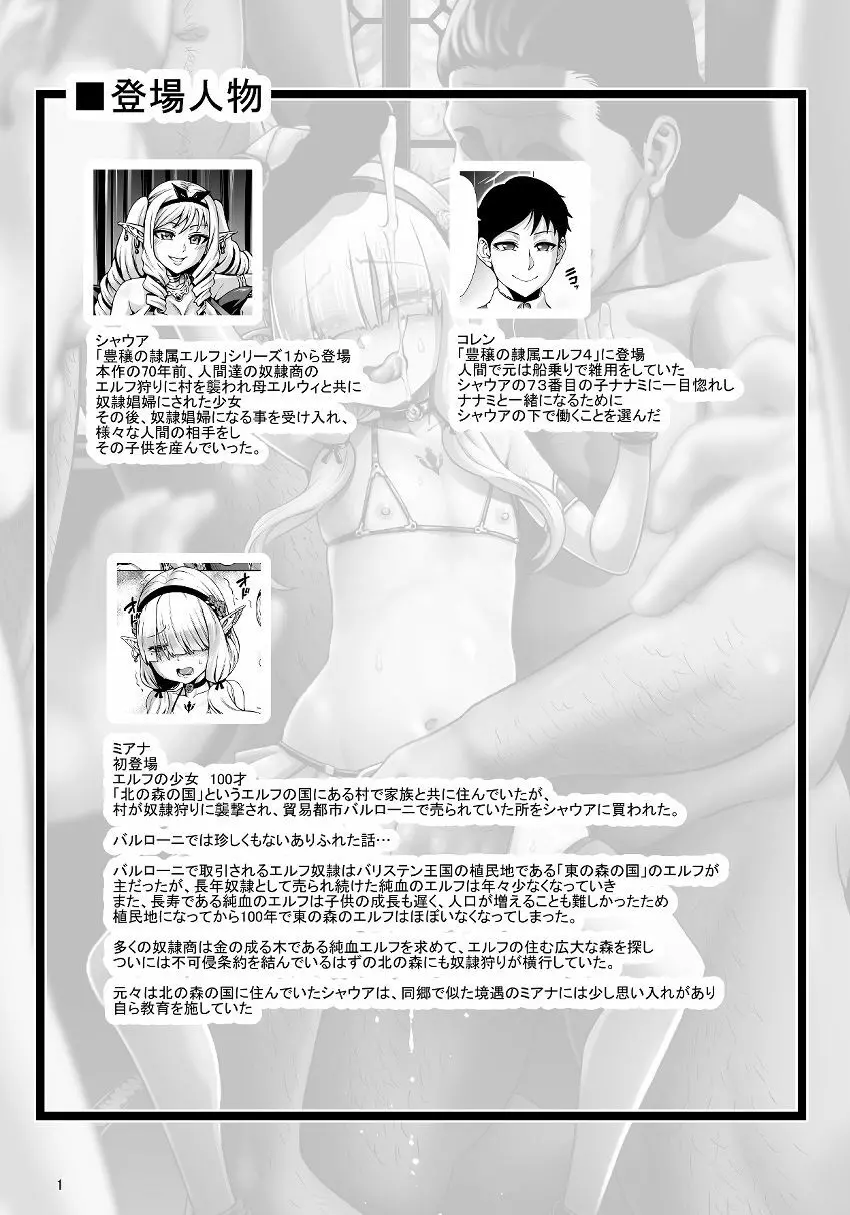 豊穣の隷属エルフ 6～被虐幼精～ - page56