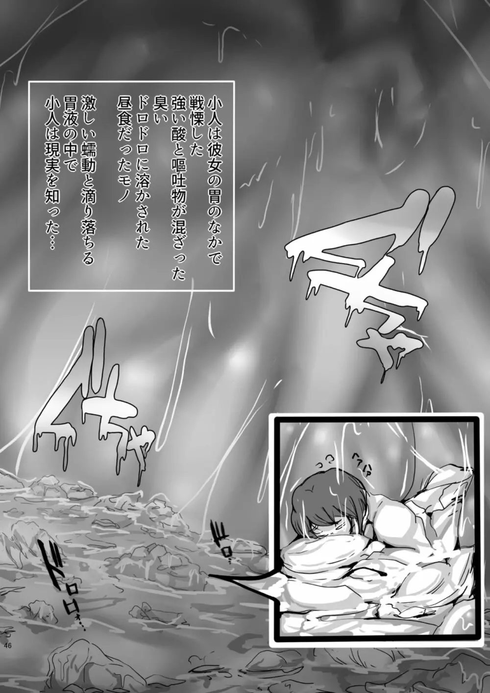 腸内会誌 - page46