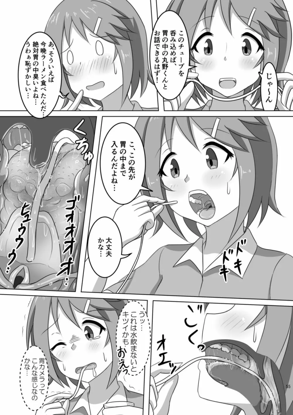 腸内会誌 - page55