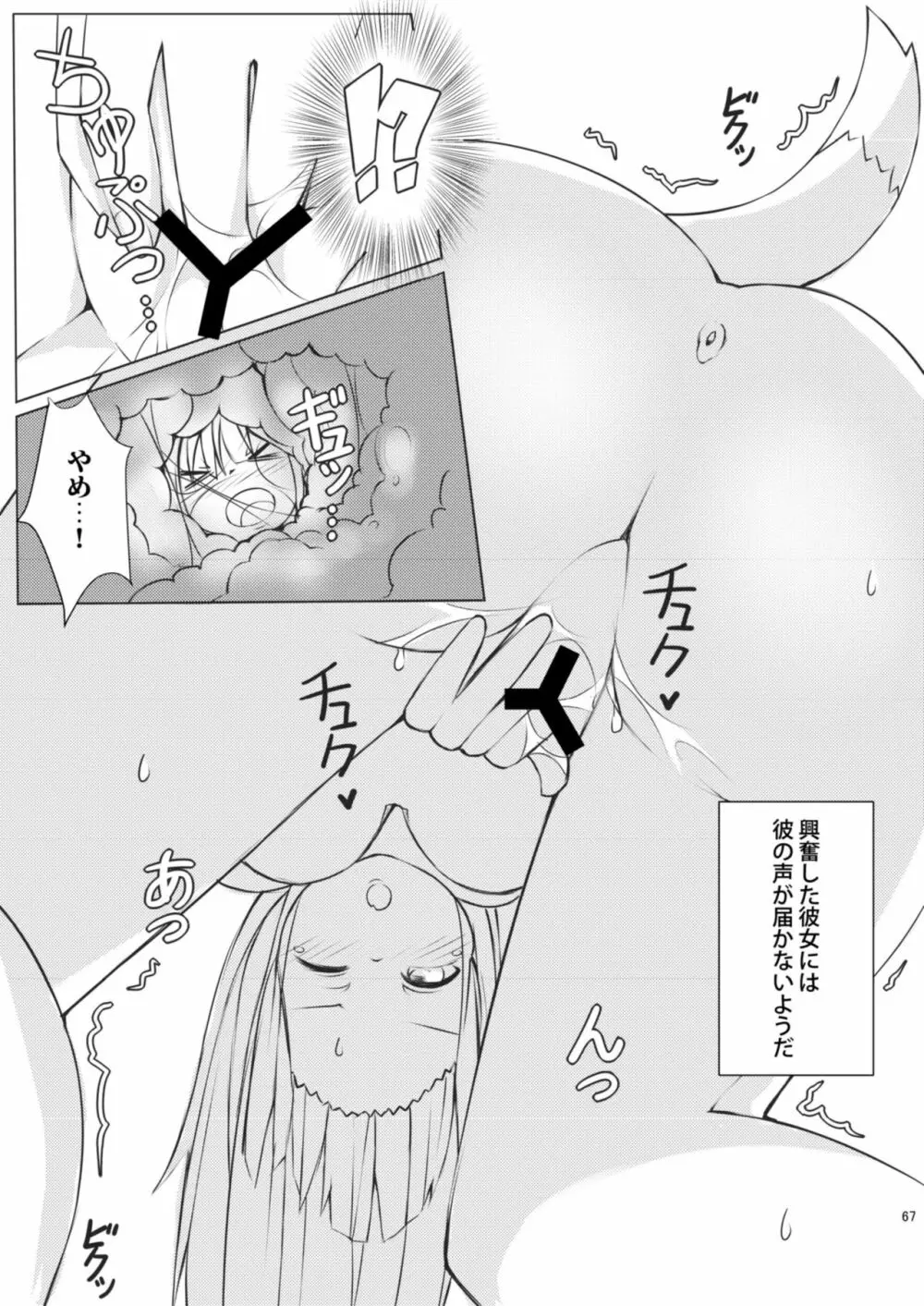 腸内会誌 - page67