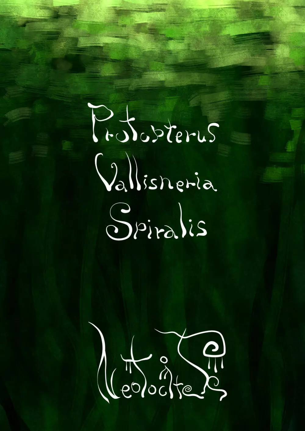 Protopterus Vallisneria Spiralis - page23