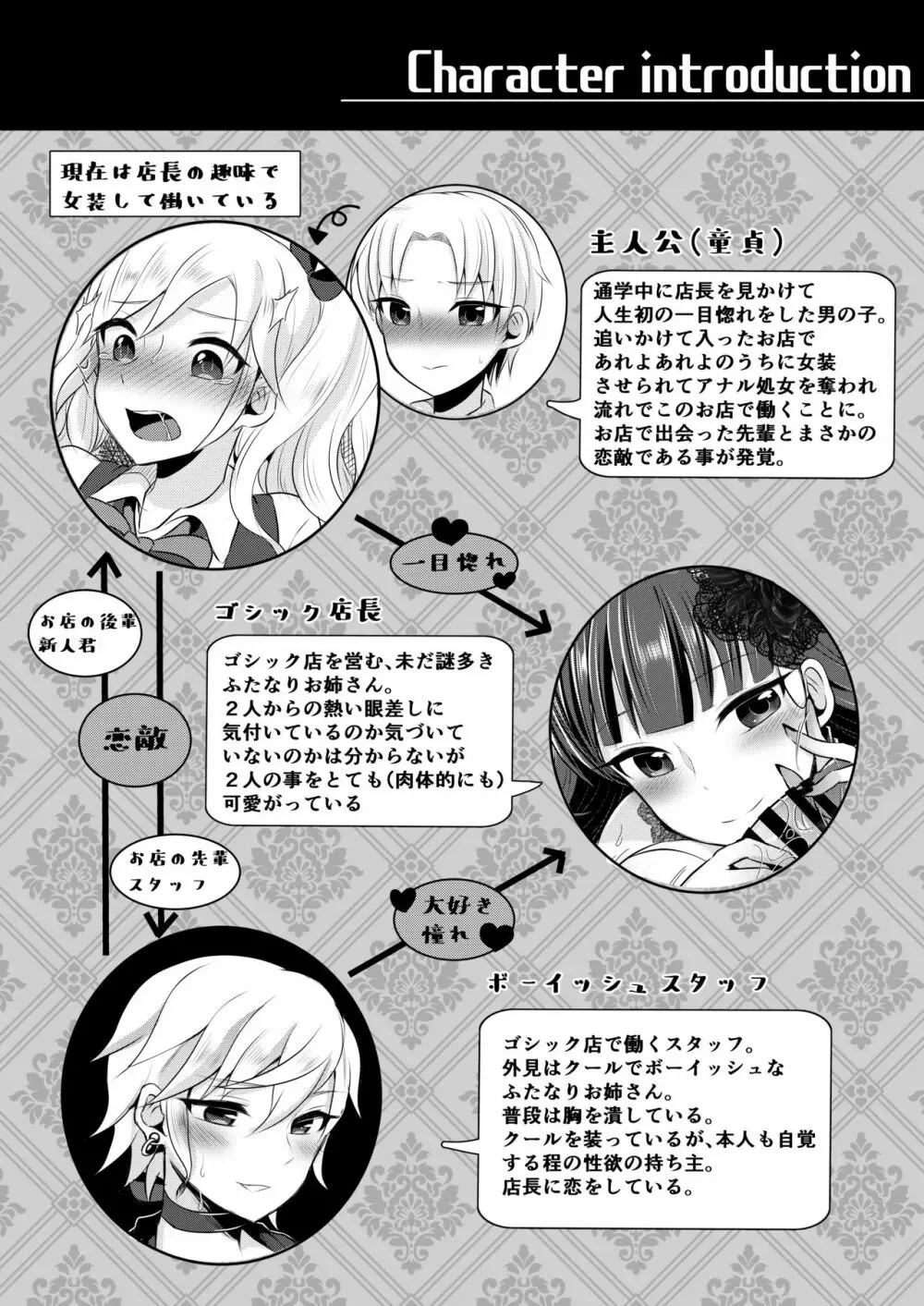 僕たちが一目惚れしたゴシックふたなりお姉さんには敵わない - page3