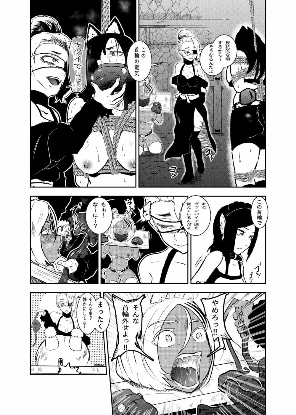 ヴァンパレイド8 ～白猫 黒狼 拘束編～ - page11