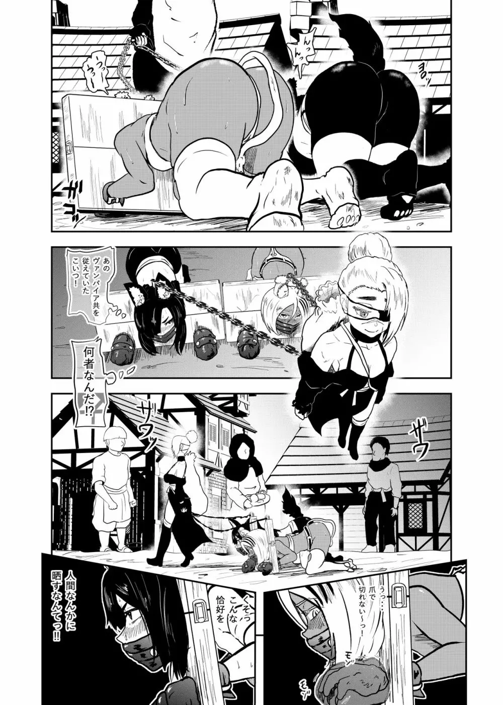 ヴァンパレイド7 ～白猫 黒狼 拘束編～ - page13