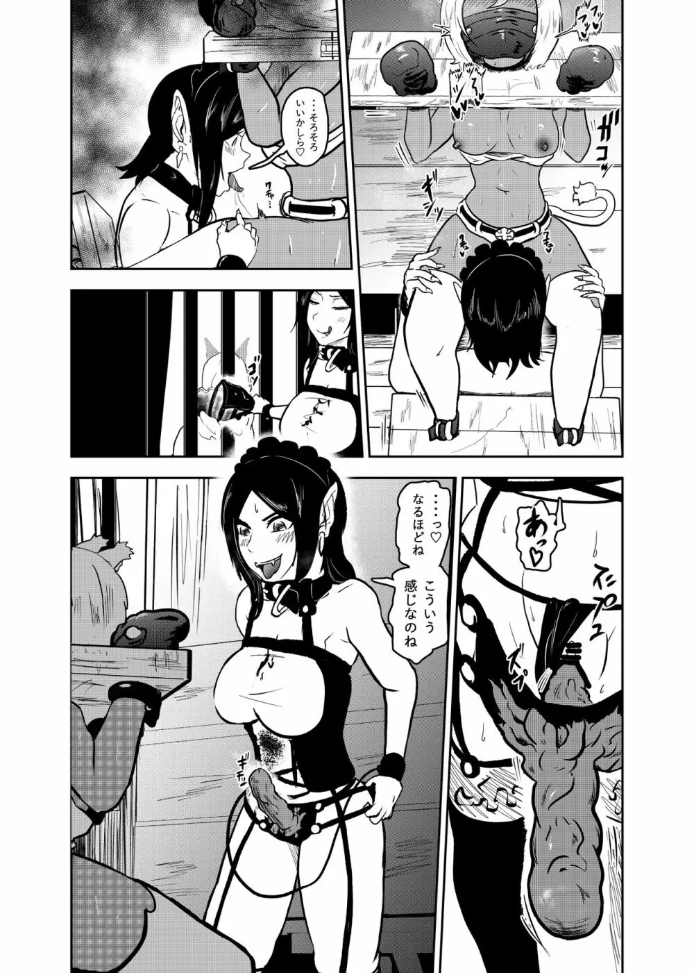 ヴァンパレイド7 ～白猫 黒狼 拘束編～ - page19