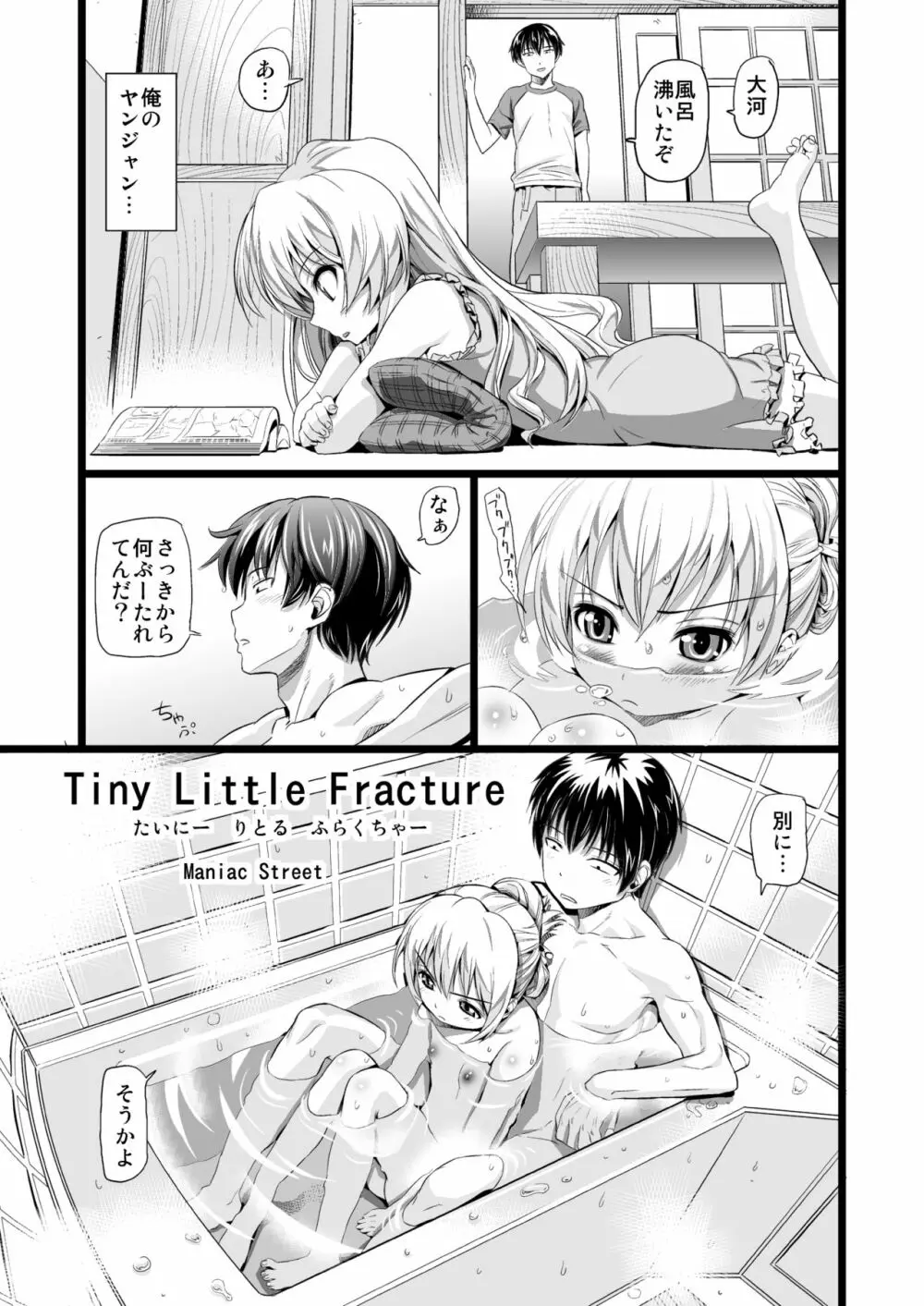 Tiny Little Fracture - page2