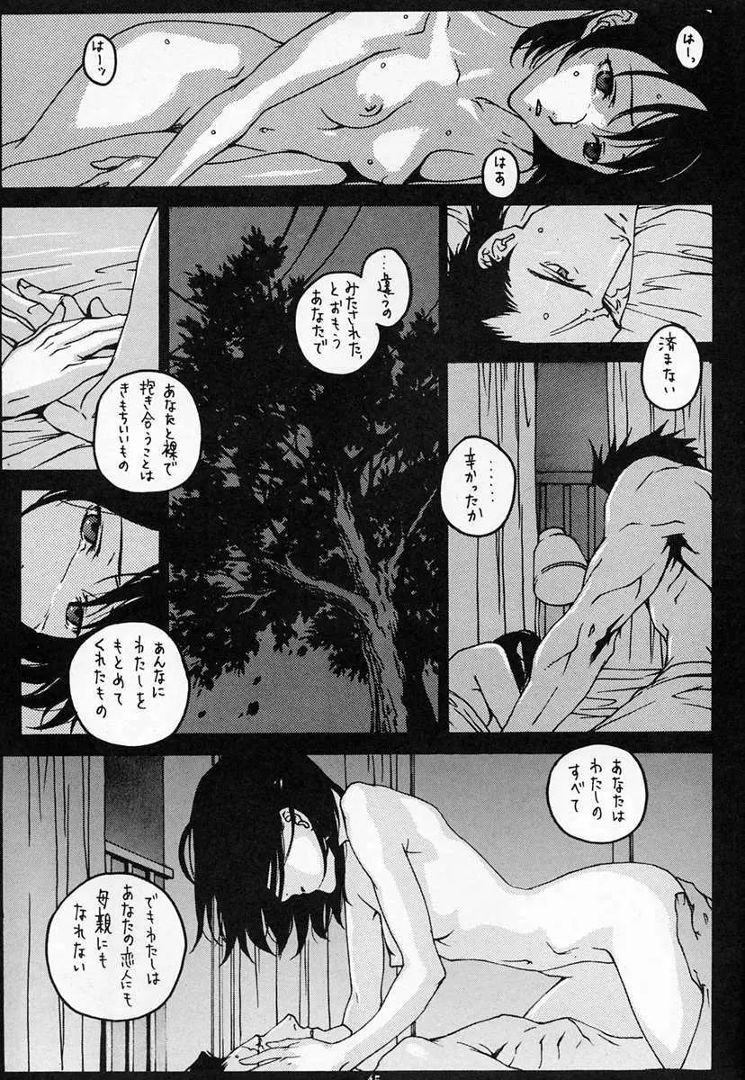 Houmatsujin - page44