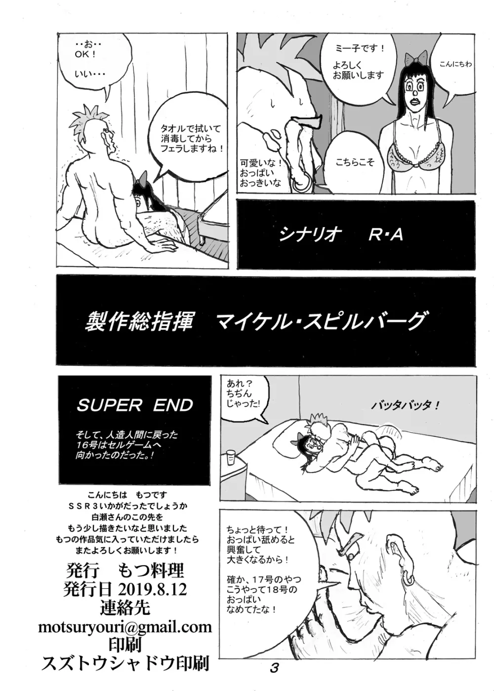 SSR3 - page21