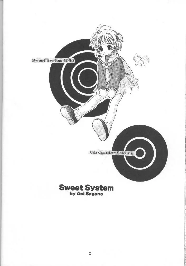 Sewwt System - page21