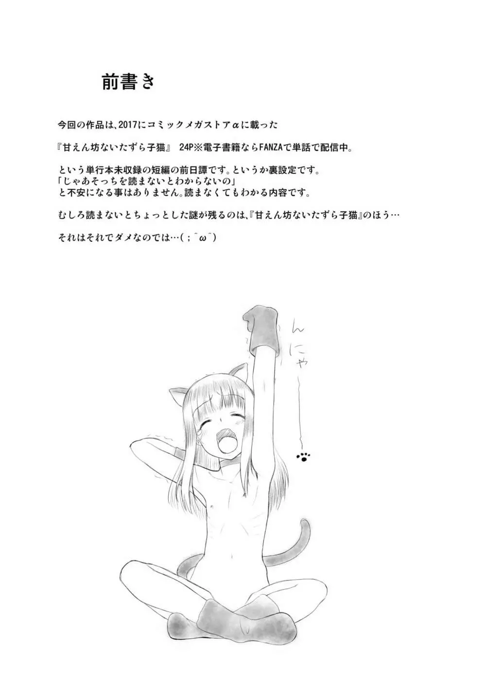 ペットショップの子猫 - page3