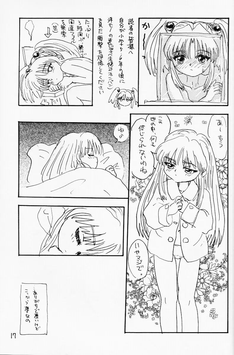 バカって言ってルリちゃん - page16