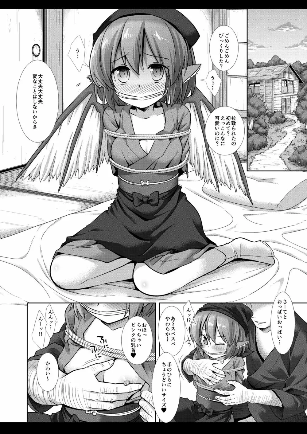 東方陵辱44 ミスティア・ローレライ - page5