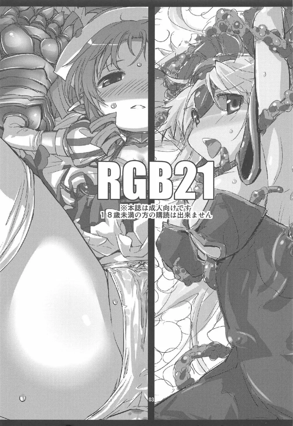 RGB21 - page2