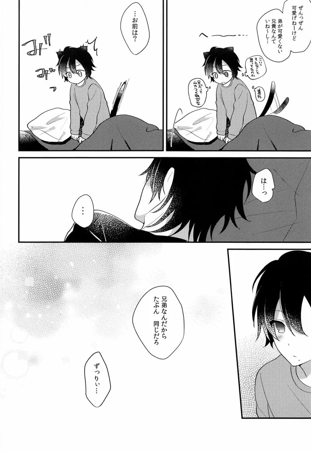 ぼくの愚兄を紹介します - page27