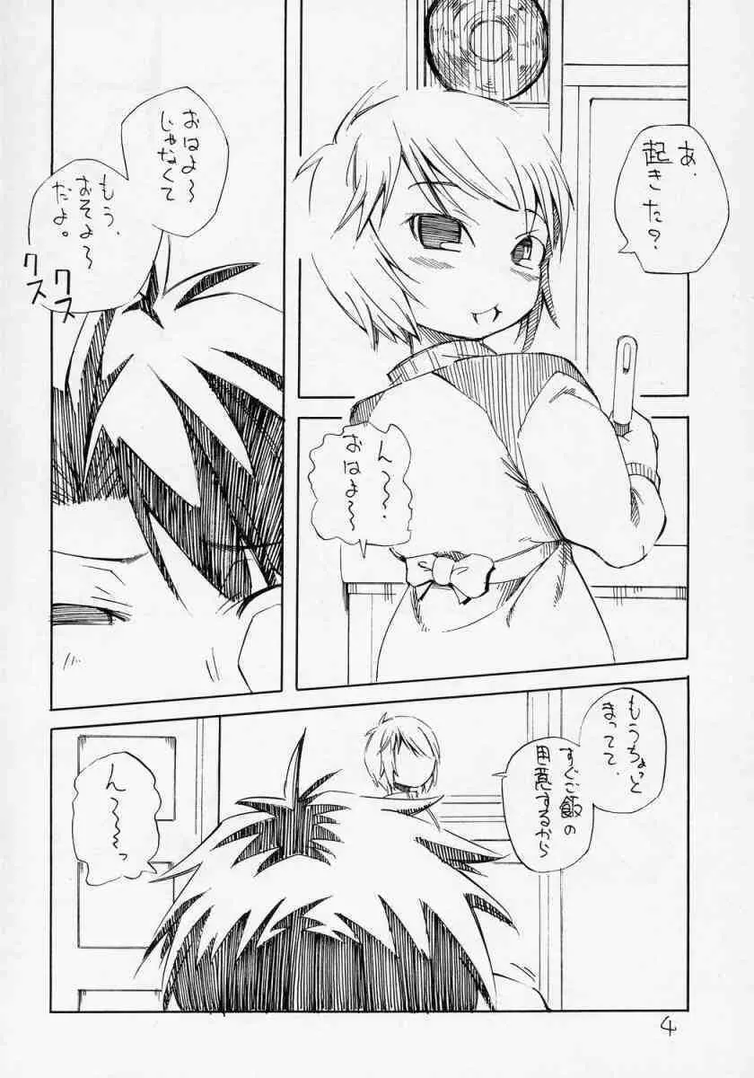 ある朝目が覚めたら、人間になった蒼星石が台所に立っていたという妄想をマンガにした本。 - page3