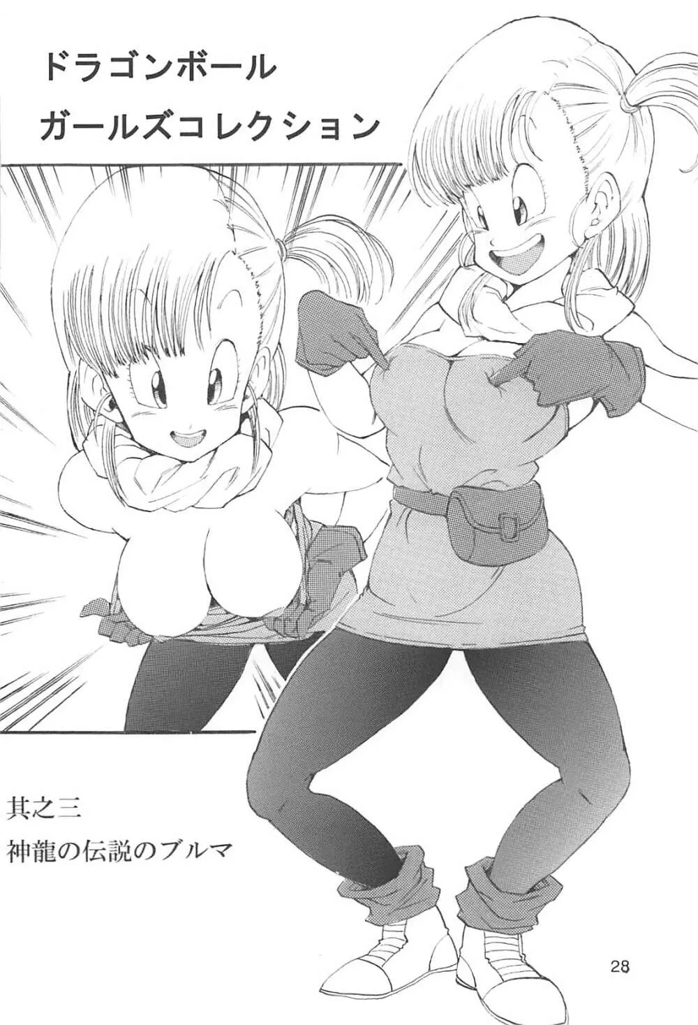 ドラゴンボールガールズコレクション1復刻版 - page29