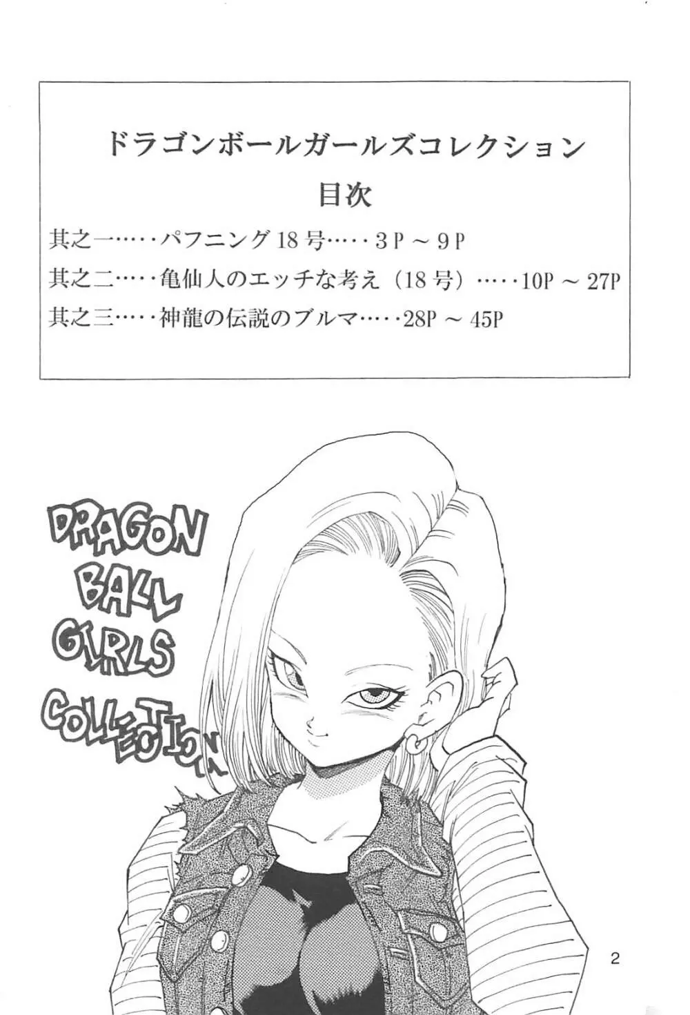 ドラゴンボールガールズコレクション1復刻版 - page3