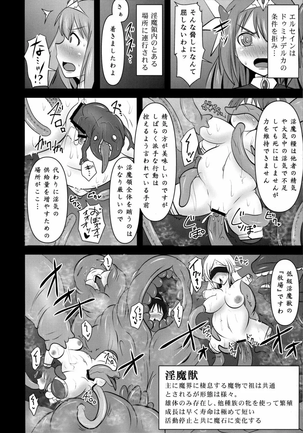 煌盾戦姫エルセイン 『邪淫境の支配者』 - page17