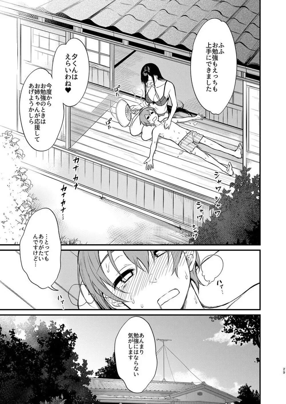 姉なるもの全集2 - page29