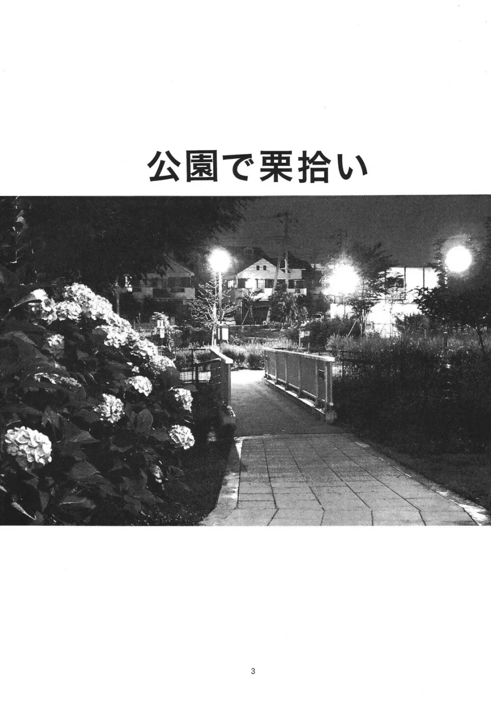 公園で栗拾い - page3