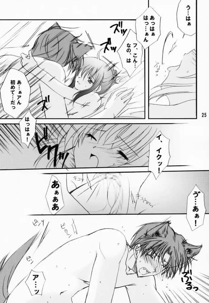 恋愛の教訓 V - page24