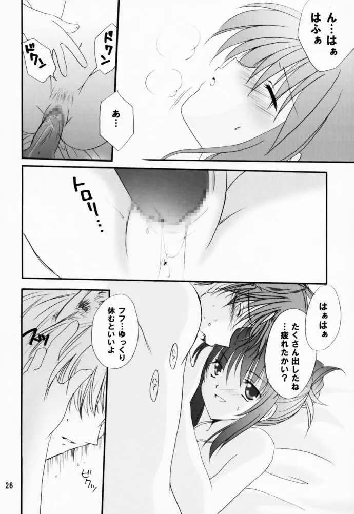 恋愛の教訓 V - page25