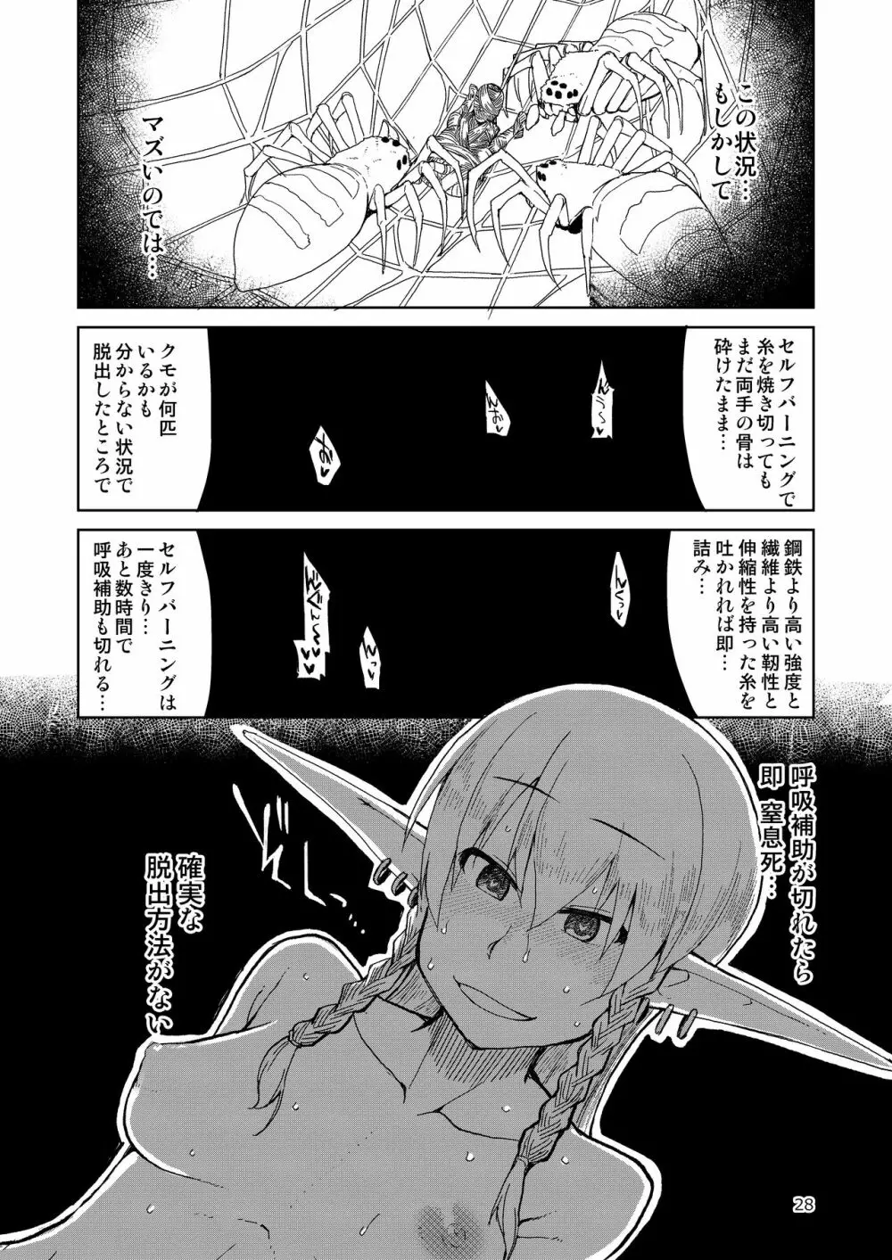 ドスケベエルフの異種姦日記 まとめ② - page29