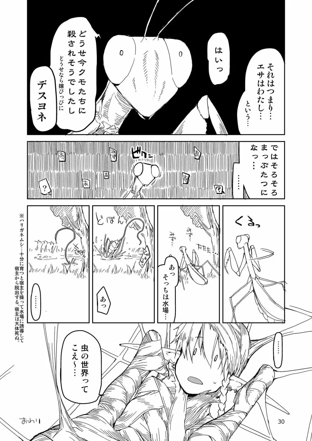 ドスケベエルフの異種姦日記 まとめ② - page31