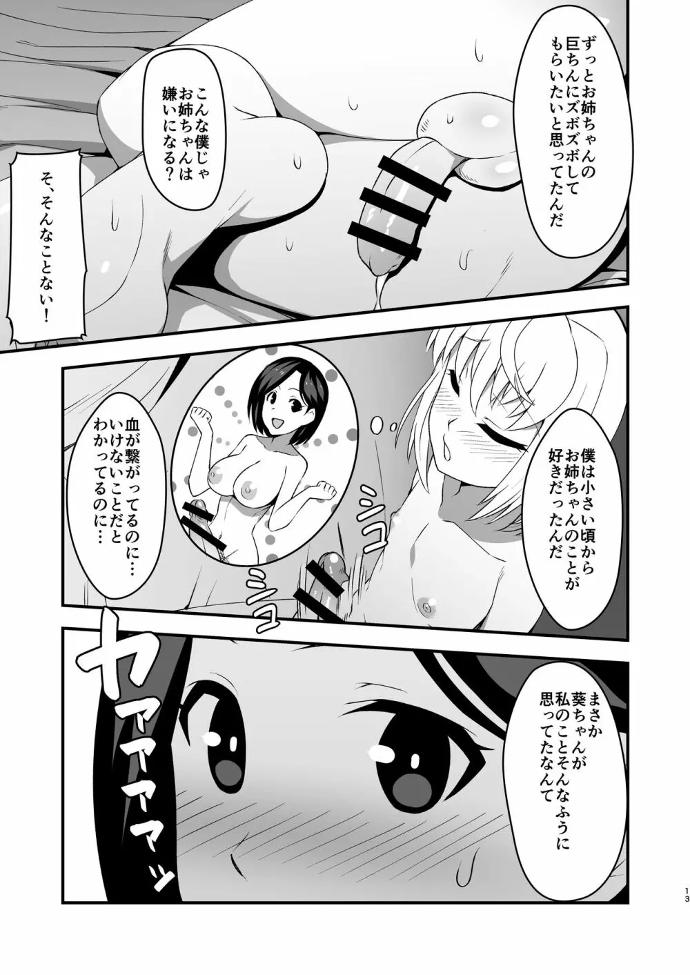 ふたなりお姉ちゃんと近親相姦 - page12