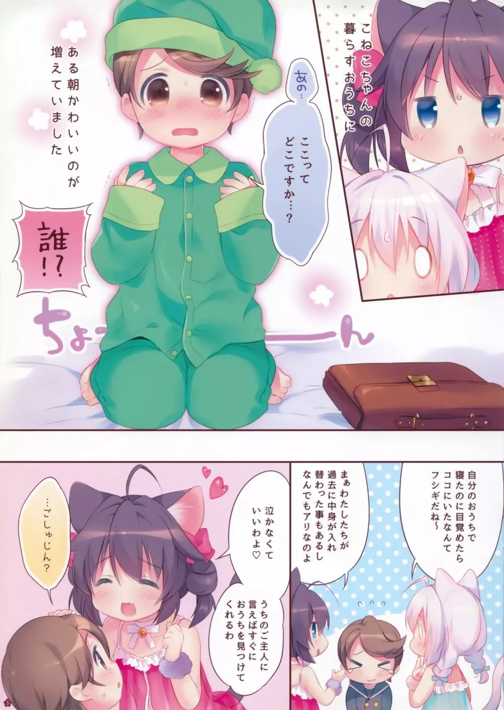 やさしくしてね、こねこちゃん! - page3