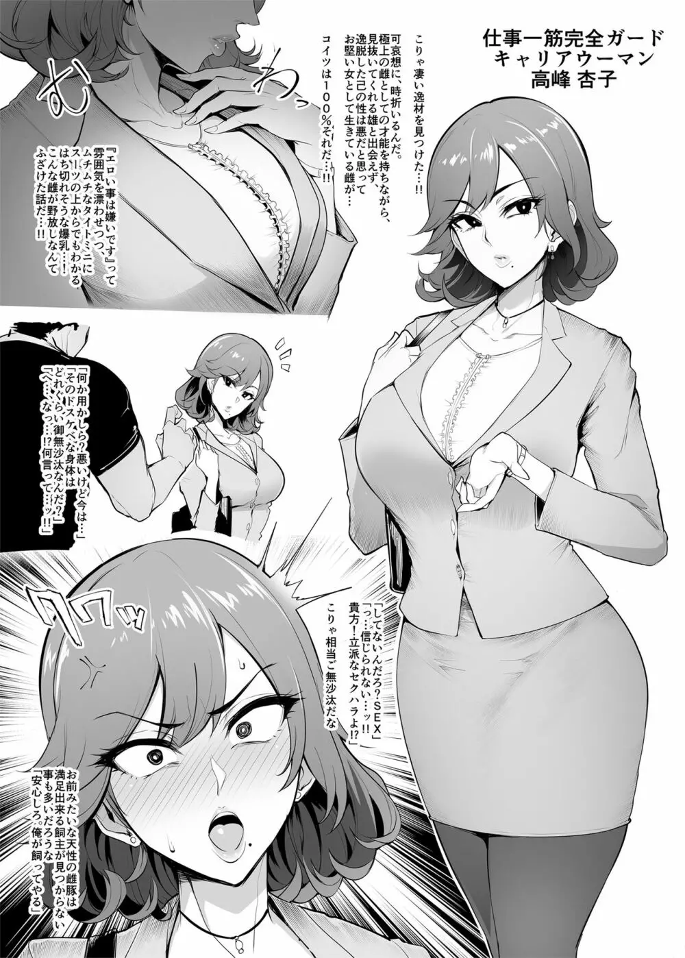 メス共の4ページ調教記録集 - page11