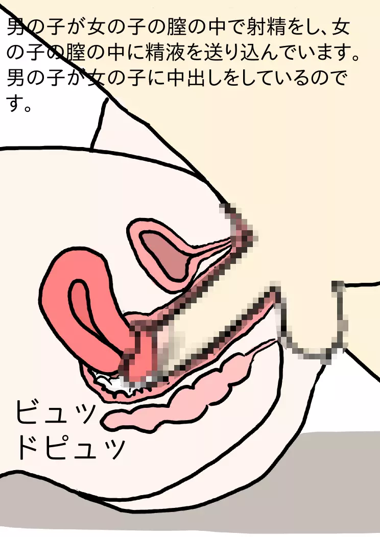 思春期を迎えた男の子と女の子のための絵本・赤ちゃんのつくりかた -とっても気持ちいい中出しセックス- - page26