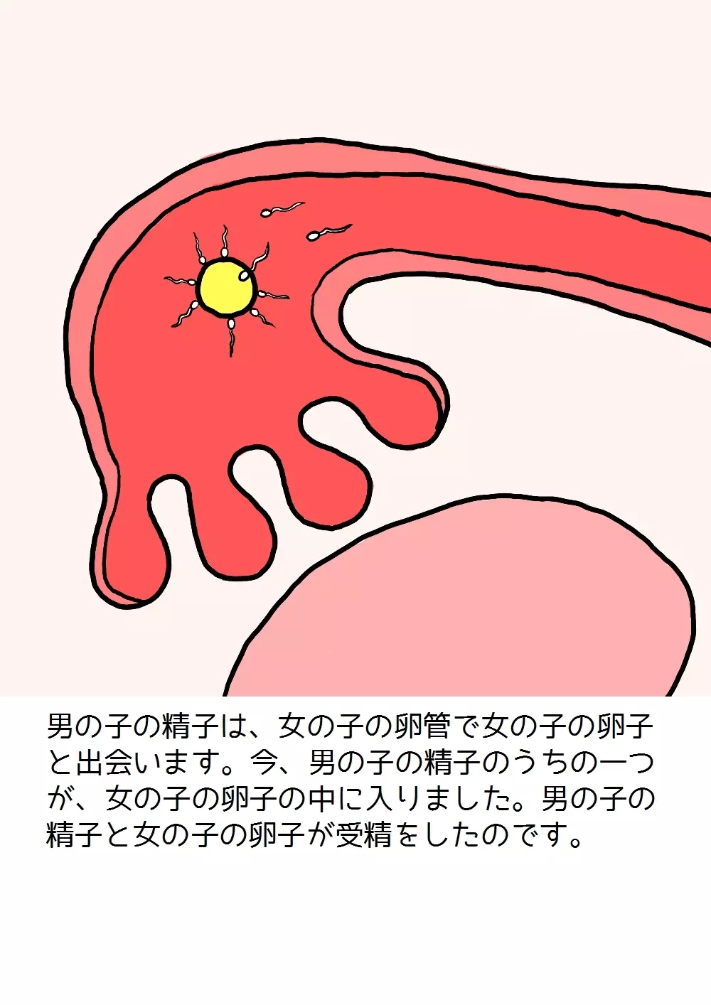 思春期の男の子のための性教育・女の子を妊娠させるための中出しセックス入門 - page60