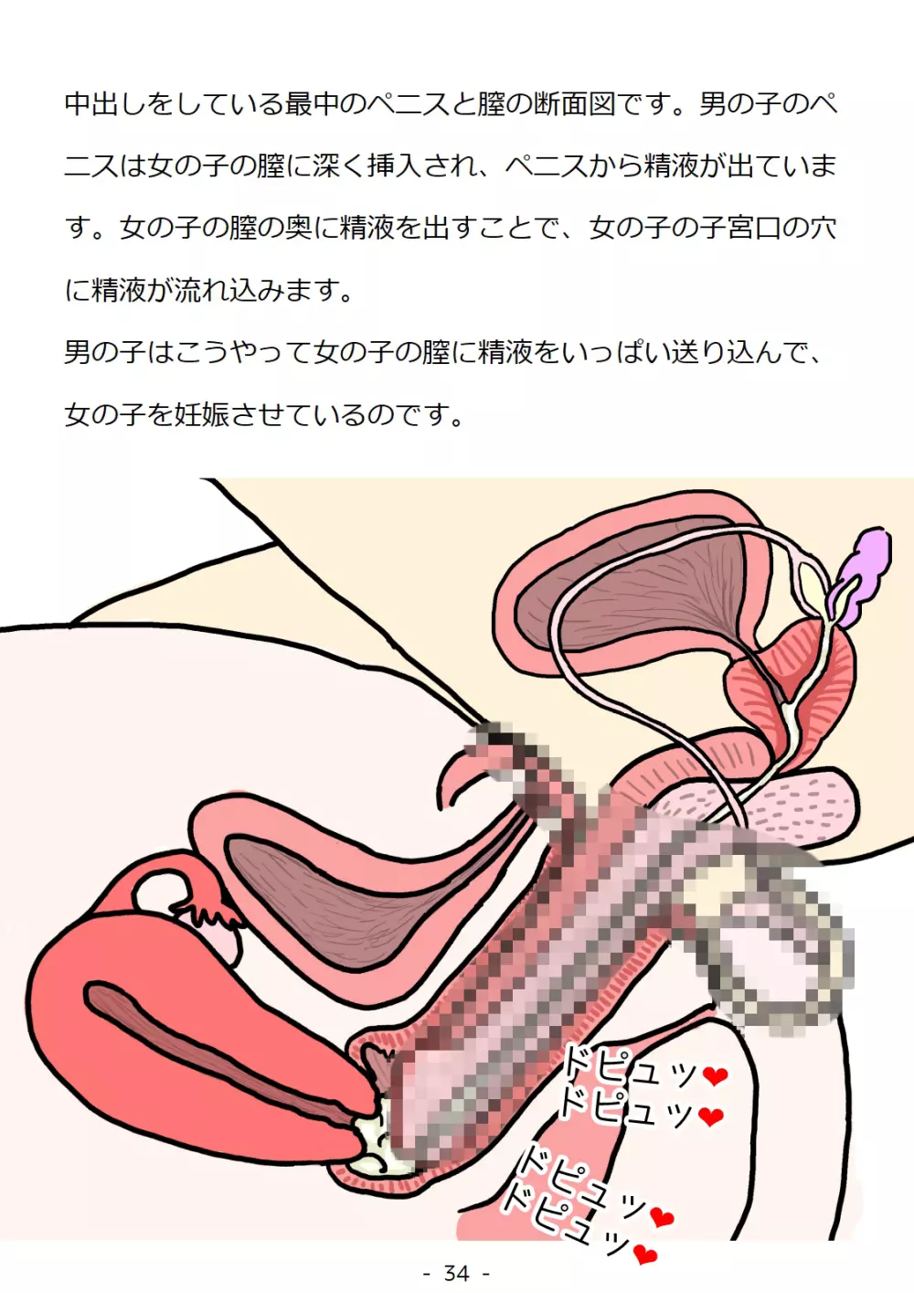 思春期の男の子のための性教育・同級生の女の子とセックスをして赤ちゃんを作るおはなし - page34