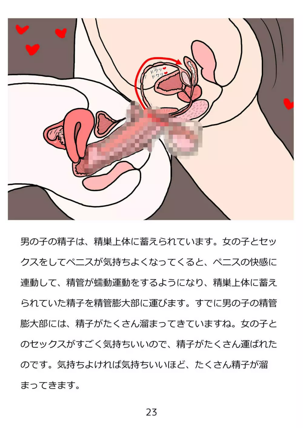 思春期のための性教育・とってもエッチで気持ちいい新しい生命を作る中出しセックス - page23