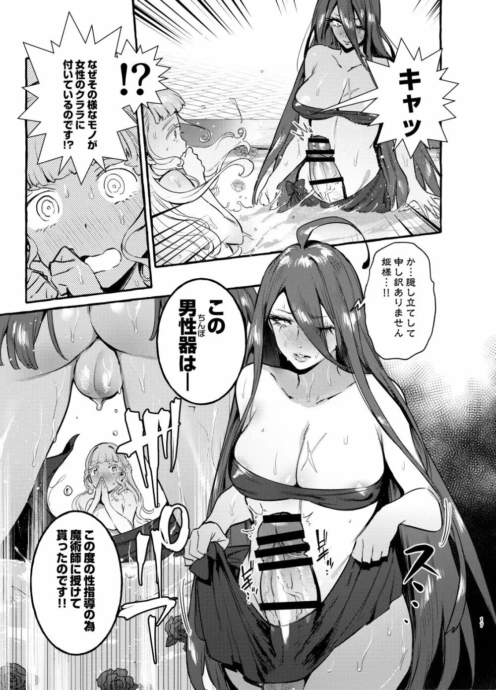 おちんぽ女騎士と処女姫 - page18