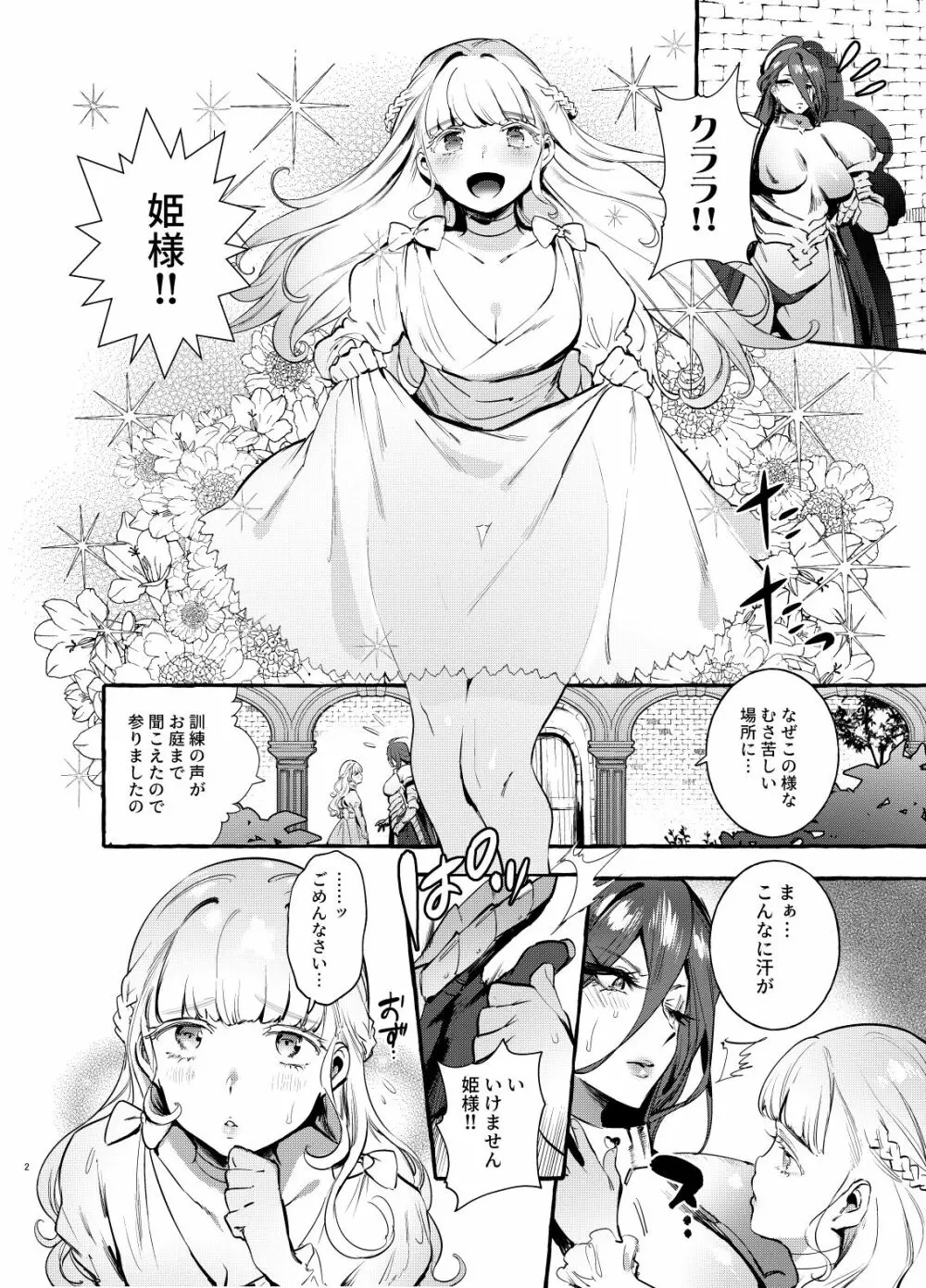 おちんぽ女騎士と処女姫 - page3