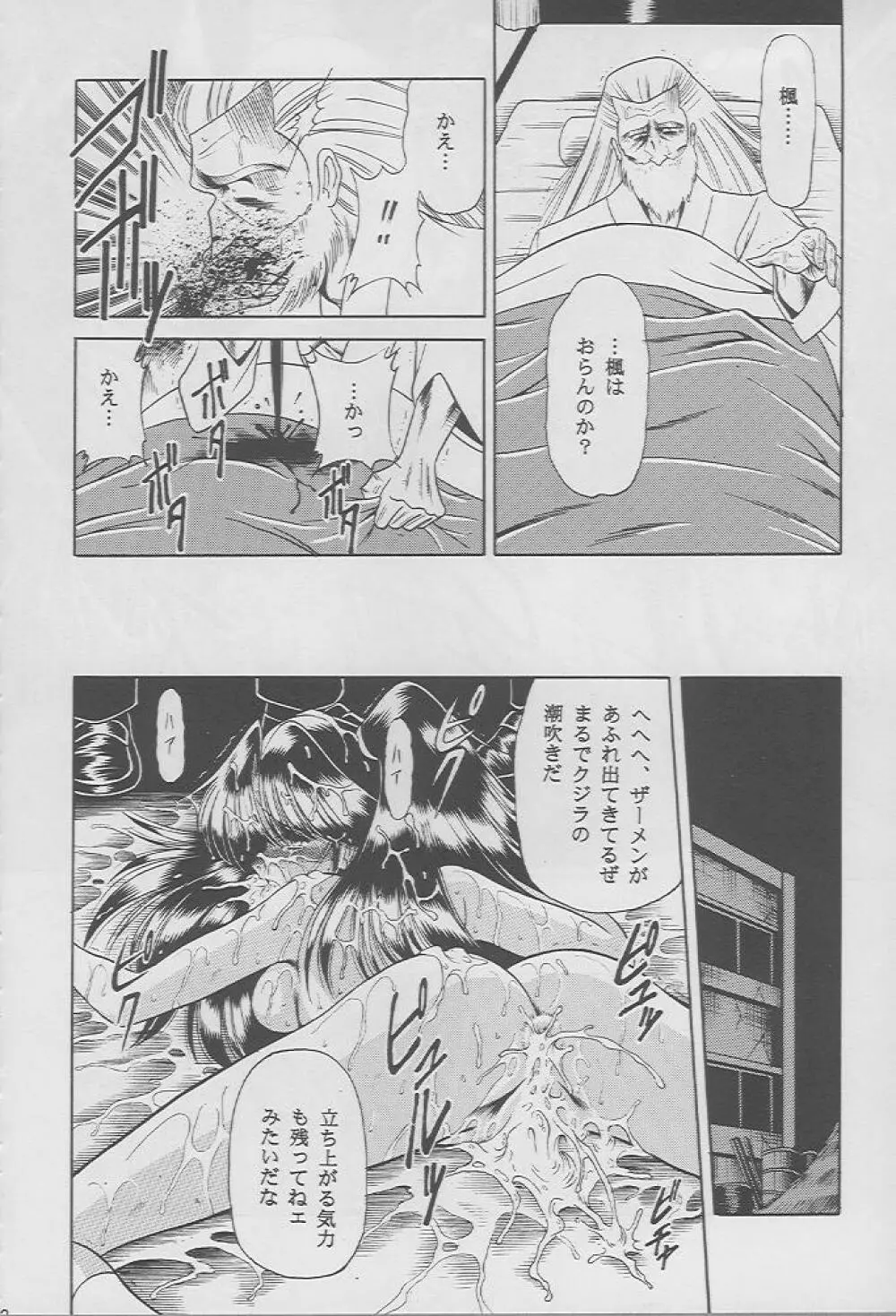 楓の剣 - page29