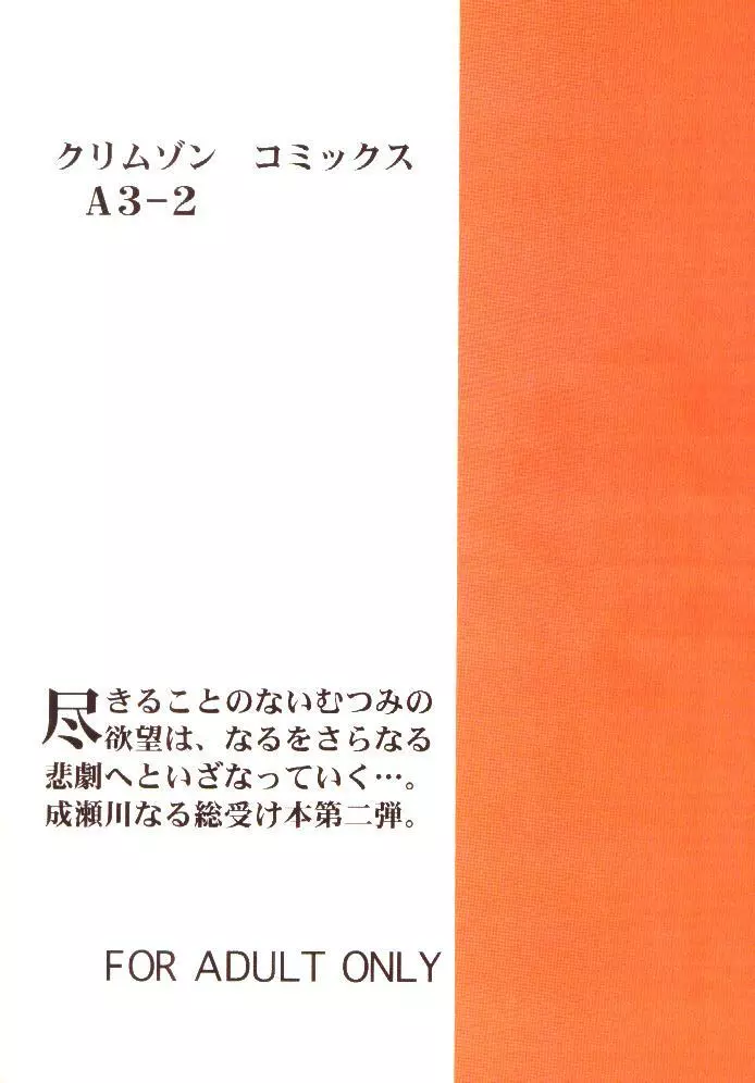 被虐の成瀬川 2 - page33