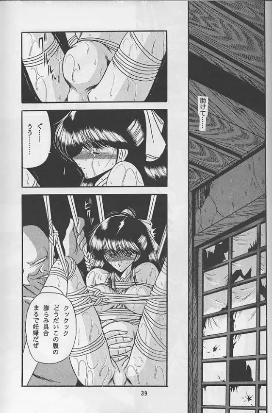 隷嬢日記 - page37