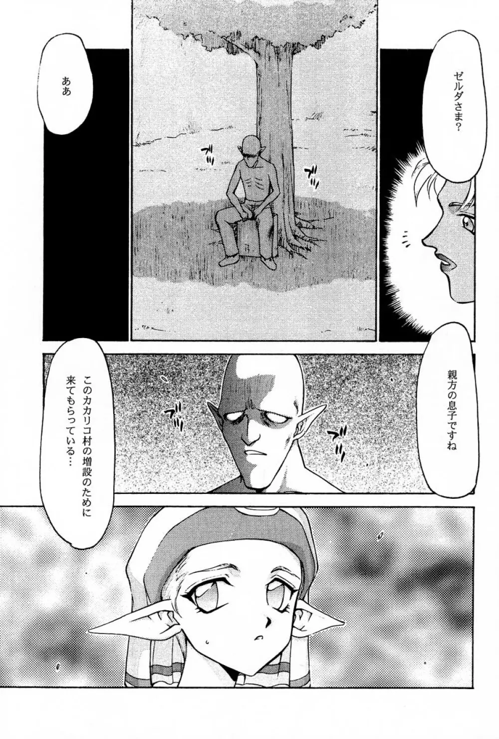 NISEゼルダの伝説 prologue - page6