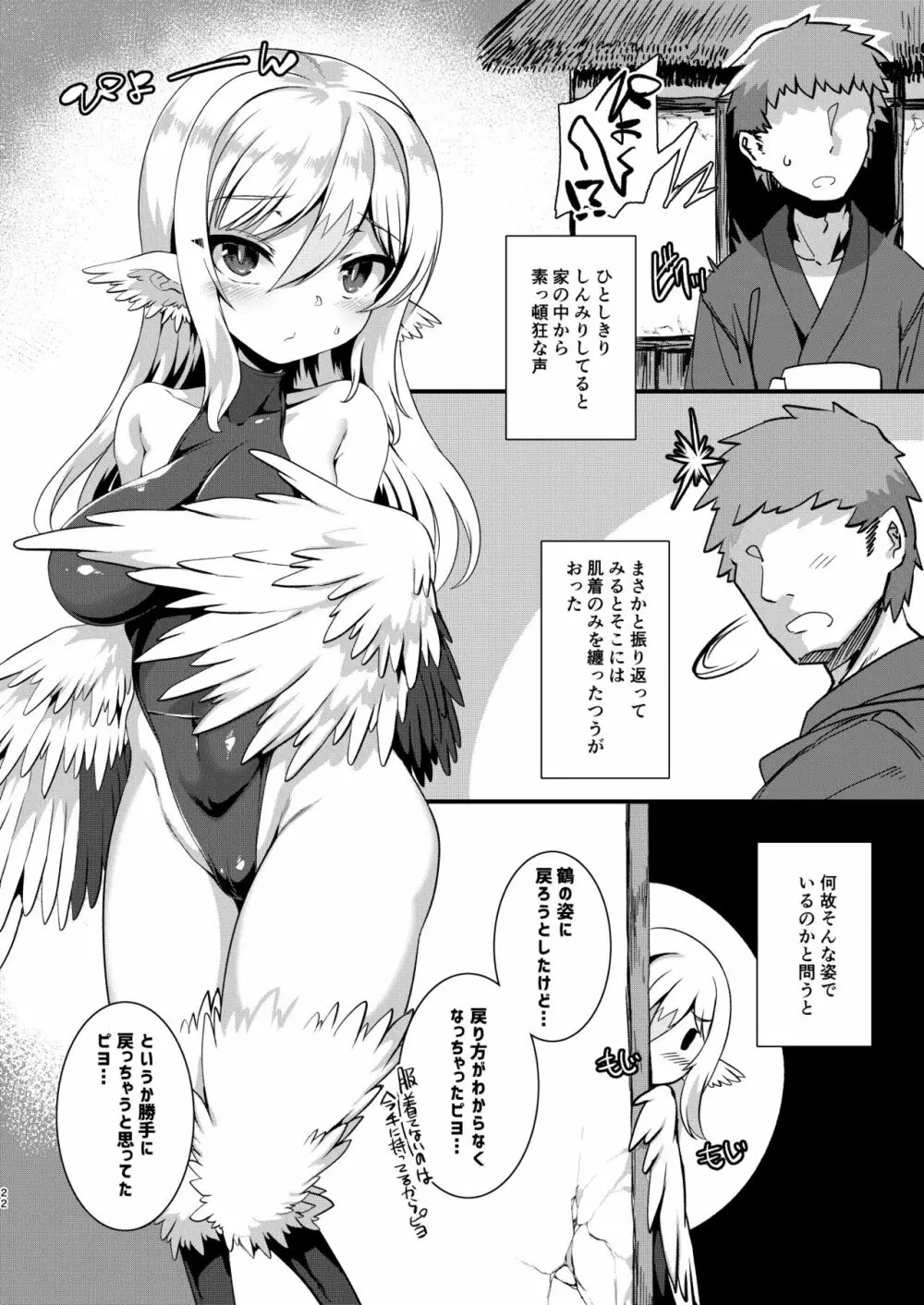 つるハーピィの恩返し+会場限定本 - page21