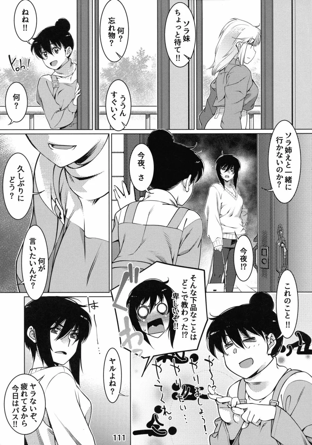 大人のおもちや12 - page110